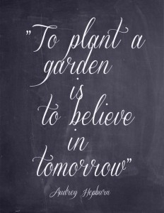 To plant a garden quote